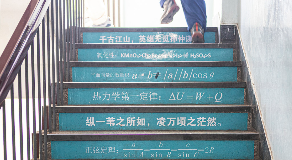 图片[1]-山东新高考注意问题大盘点-高考100-上淘有品虚拟资源下载