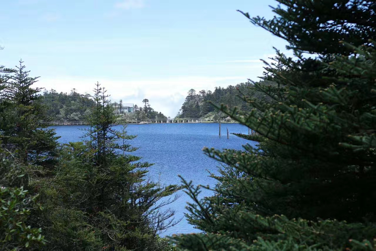 图片[2]-新高考选物生地好处：物生地可以报什么大学？-高考100-上淘有品虚拟资源下载