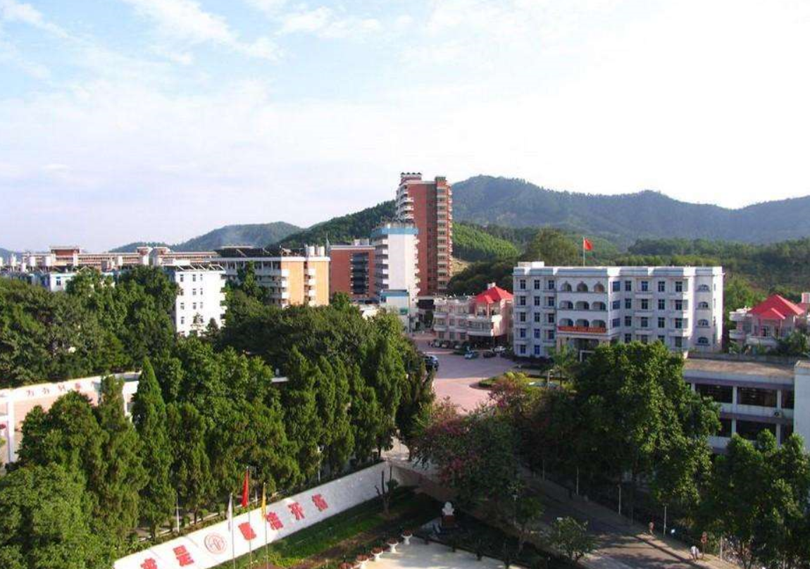 图片[1]-广东金融学院国家级一流本科专业有哪些？附双万计划名单-高考100-上淘有品虚拟资源下载