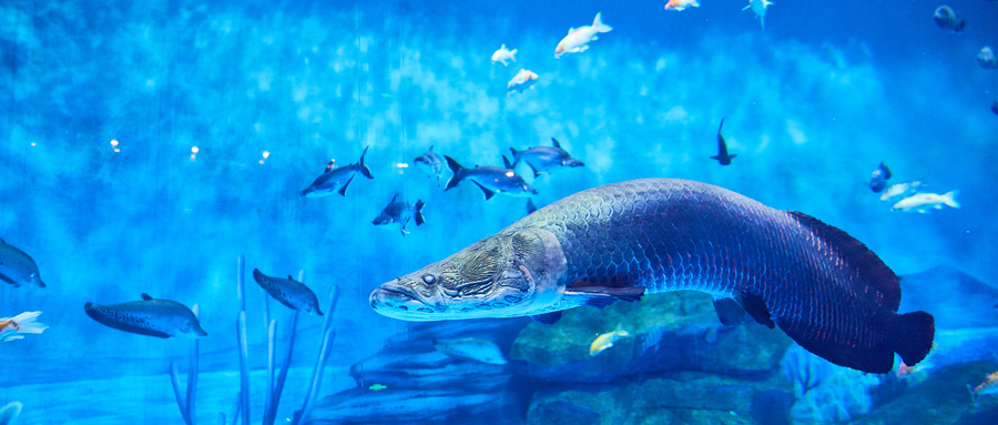 图片[16]-高考最热门专业目前是哪些-高考100-上淘有品虚拟资源下载