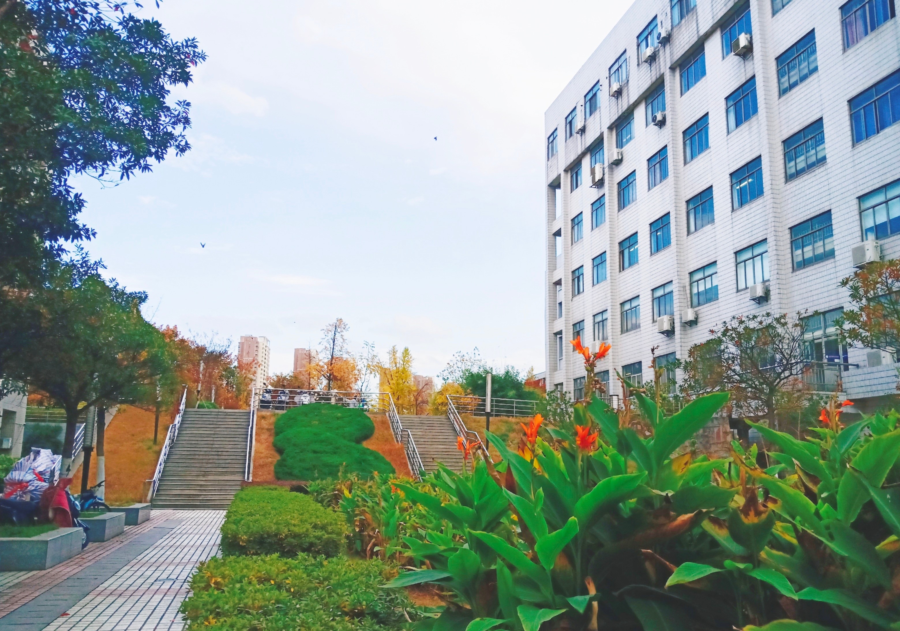 图片[1]-医学检验技术这个专业是干嘛的？可以考什么证？-高考100-上淘有品虚拟资源下载