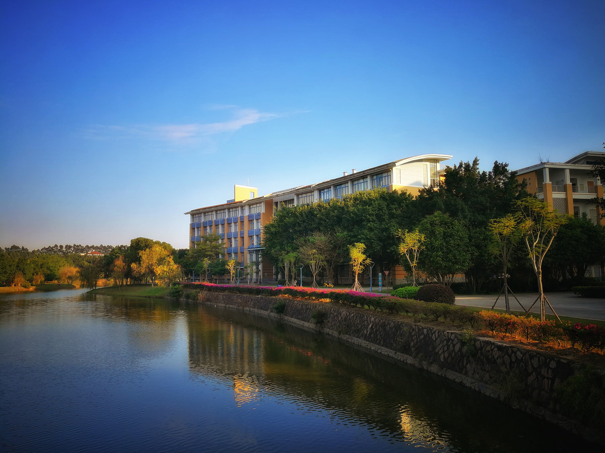 图片[2]-闽江学院国家级一流本科专业有哪些？附双万计划名单-高考100-上淘有品虚拟资源下载