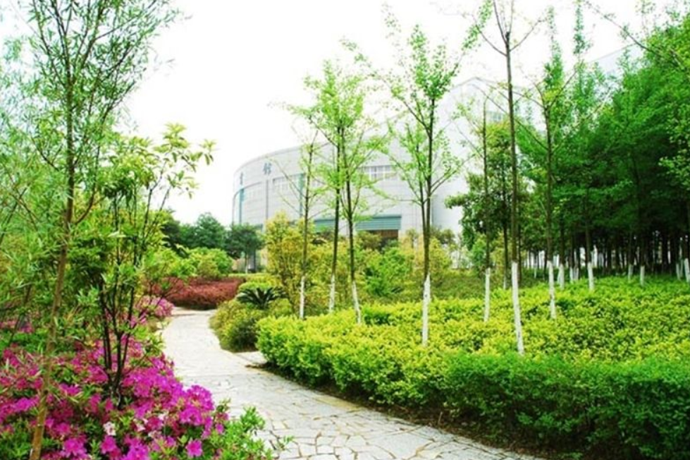 图片[2]-江西中医药大学国家级一流本科专业有哪些？附双万计划名单-高考100-上淘有品虚拟资源下载