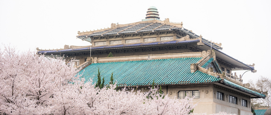 图片[2]-武汉大学强基计划招生简章2021年最新（含招生专业及招生计划）-高考100-上淘有品虚拟资源下载