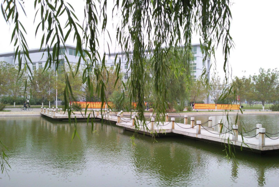 图片[2]-沈阳化工大学好就业吗？沈阳化工大学就业率怎么样？-高考100-上淘有品虚拟资源下载