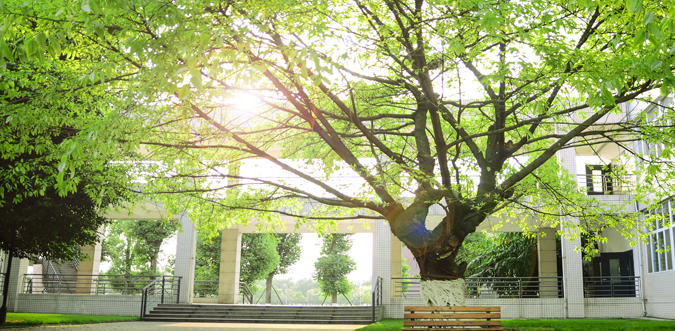图片[1]-四川大学锦江学院咋样？川大锦江学院有望转公办吗？-高考100-上淘有品虚拟资源下载