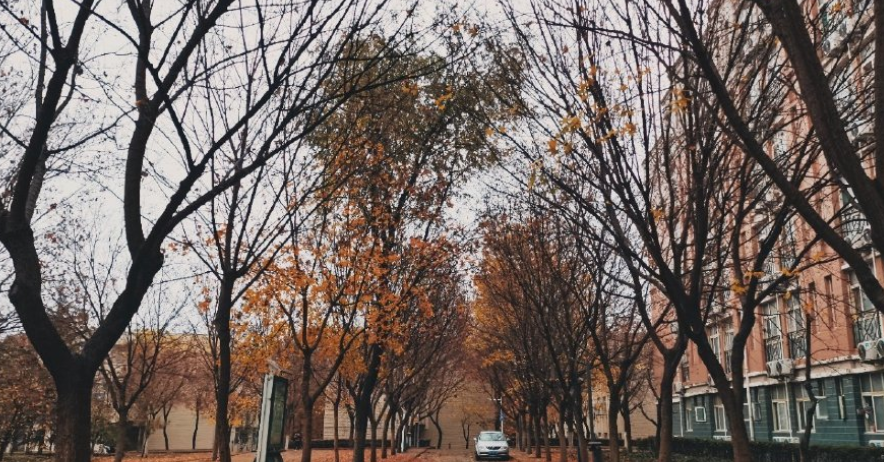 图片[1]-最好的民办本科院校-最顶级的十所民办大学（含排名、分数线）-高考100-上淘有品虚拟资源下载