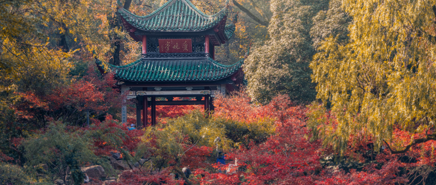 图片[1]-湖南最具实力的二本大学有哪些？2020录取分数线及位次-高考100-上淘有品虚拟资源下载