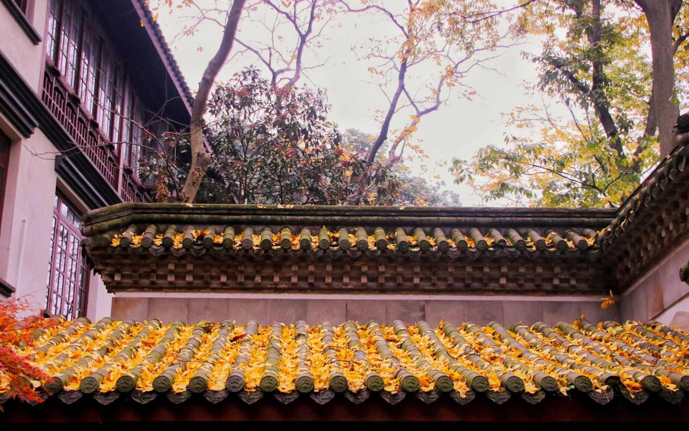 图片[1]-南方分数低的本科大学-2020南方比较不错的大学及分数线-高考100-上淘有品虚拟资源下载