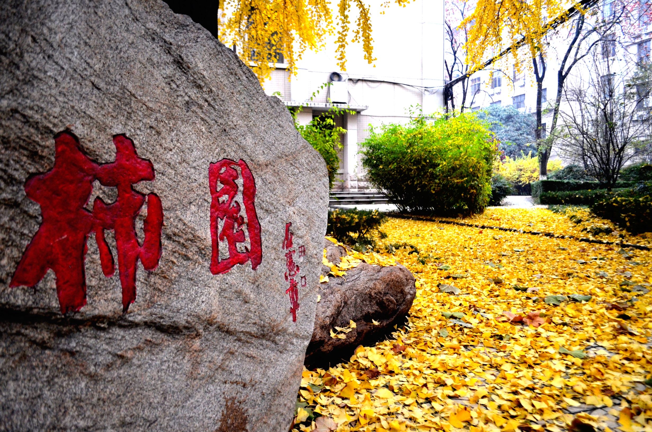 图片[4]-中外合作办学的大学有哪几所？附本科院校一览表-高考100-上淘有品虚拟资源下载